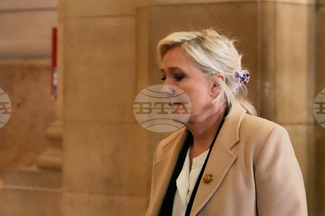 Адвокатите на Марин Льо Пен заявиха пред апелативния съд, че тя не е имала намерение да извърши нещо нередно