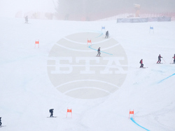 Milan Cortina Olympics Alpine Skiing
