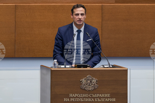 National Statistical Institute Deputy Chair Kolev: Household Electricity Use Rises in 2024 and 2025