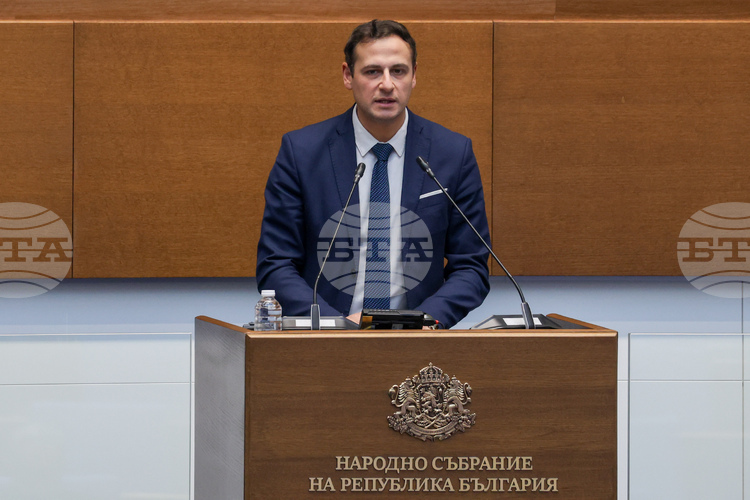 National Statistical Institute Deputy Chair Kolev: Household Electricity Use Rises in 2024 and 2025