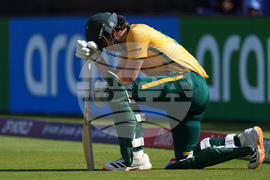 Afghanistan South Africa T20 WCup Cricket