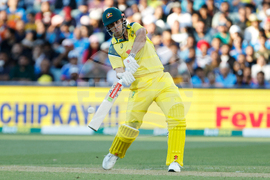 T20 World Cup-Australian Woes Cricket