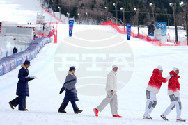 Milan Cortina Olympics Alpine Skiing