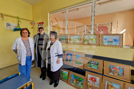 Троян - дарение картини - болница