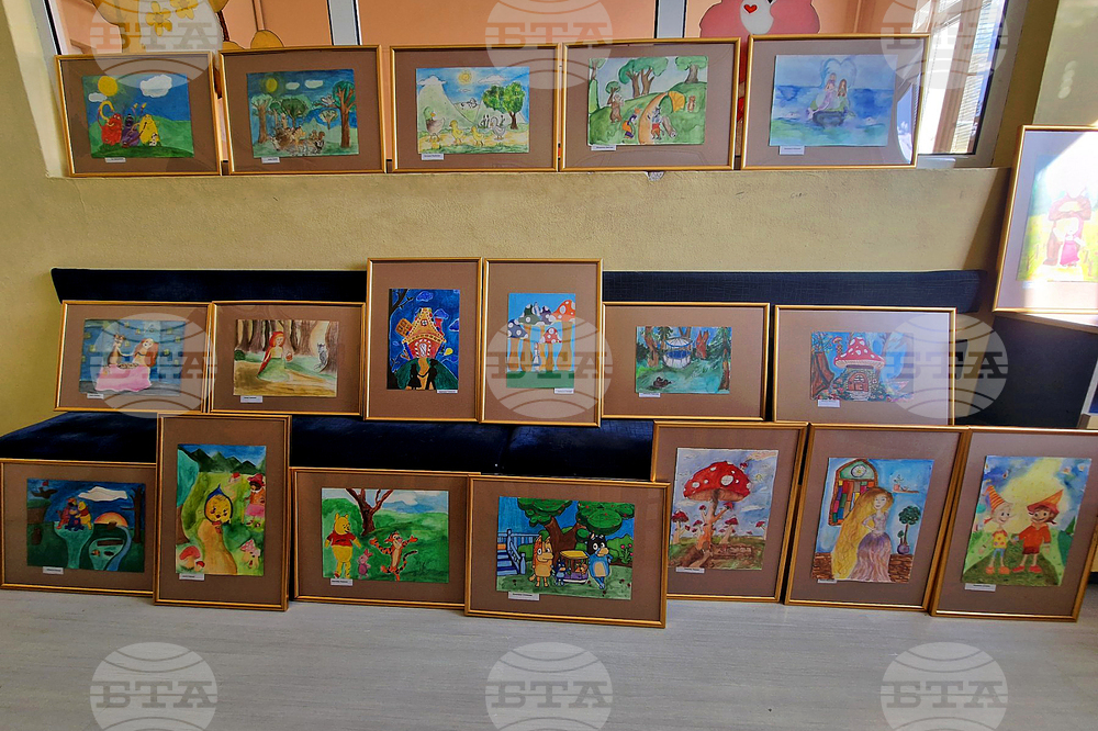 Троян - дарение картини - болница