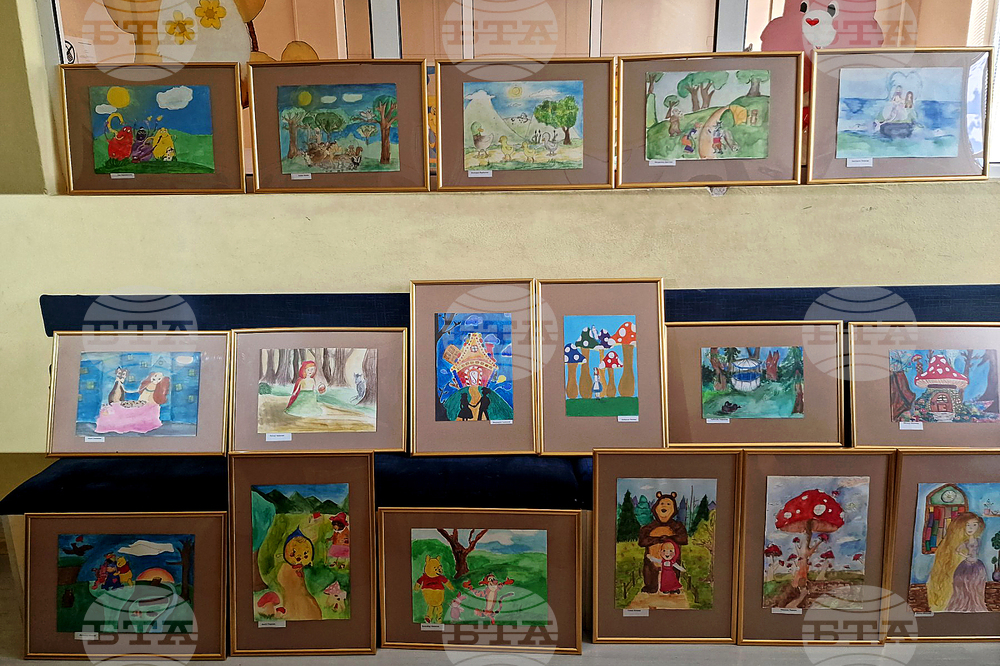 Троян - дарение картини - болница