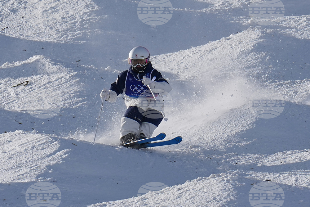 Milan Cortina Olympics Freestyle Skiing