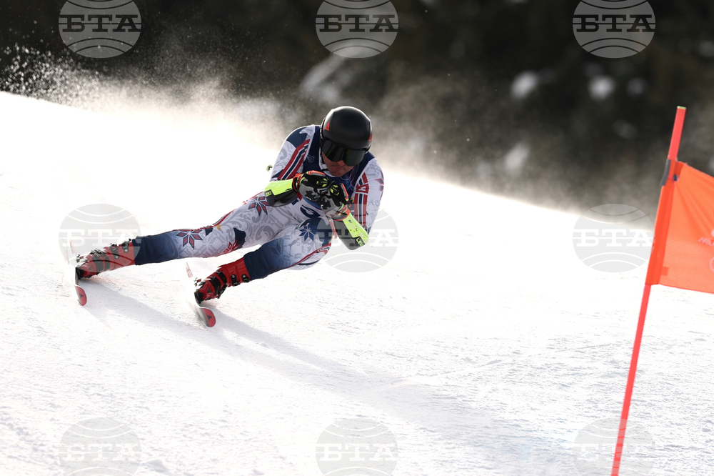 Milan Cortina Olympics Alpine Skiing