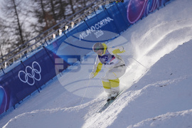 Milan Cortina Olympics Freestyle Skiing