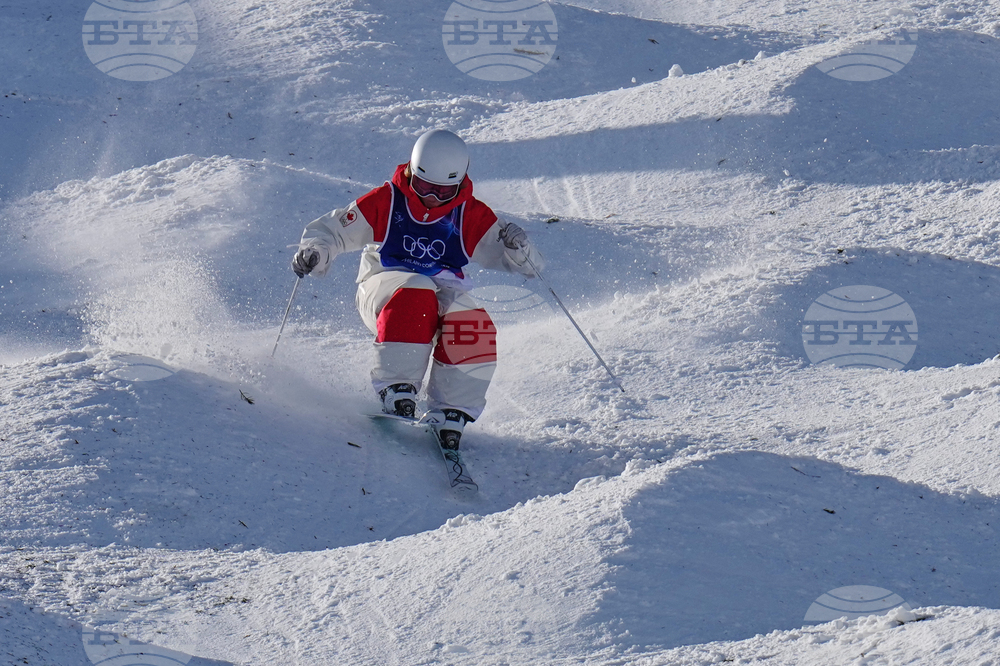 Milan Cortina Olympics Freestyle Skiing