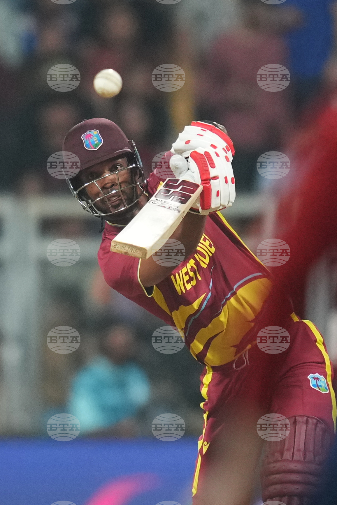 England West Indies T20 WCup Cricket