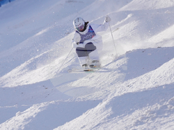 Milan Cortina Olympics Freestyle Skiing