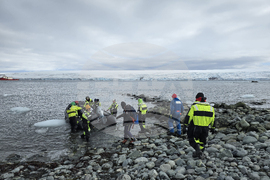 Antarctica - 34th Bulgarian Antarctic Expedition - Group - Departure