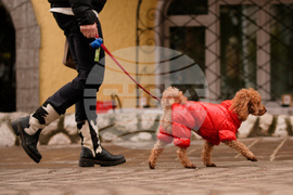 Milan Cortina Olympics Daily Life