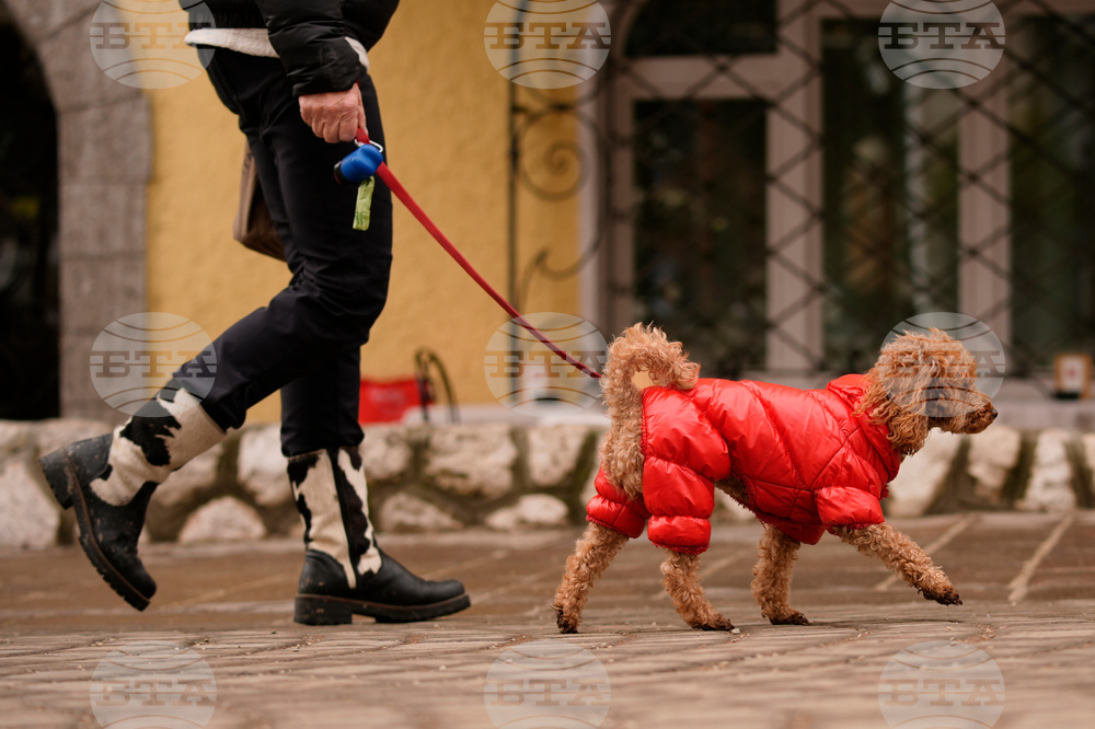 Milan Cortina Olympics Daily Life