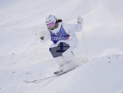 Milan Cortina Olympics Freestyle Skiing