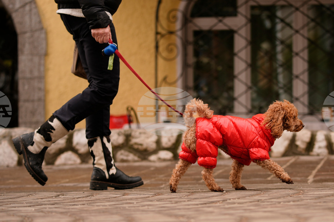 APTOPIX Milan Cortina Olympics Daily Life