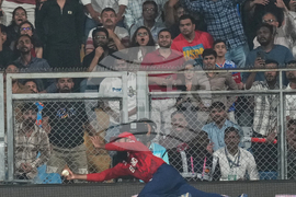 England West Indies T20 WCup Cricket