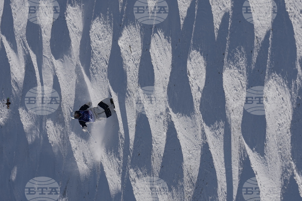 Milan Cortina Olympics Freestyle Skiing