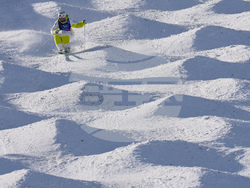 Milan Cortina Olympics Freestyle Skiing