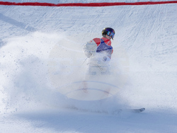 Milan Cortina Olympics Freestyle Skiing