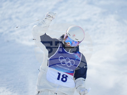 Milan Cortina Olympics Freestyle Skiing