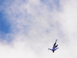 Milan Cortina Olympics Freestyle Skiing