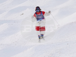 Milan Cortina Olympics Freestyle Skiing