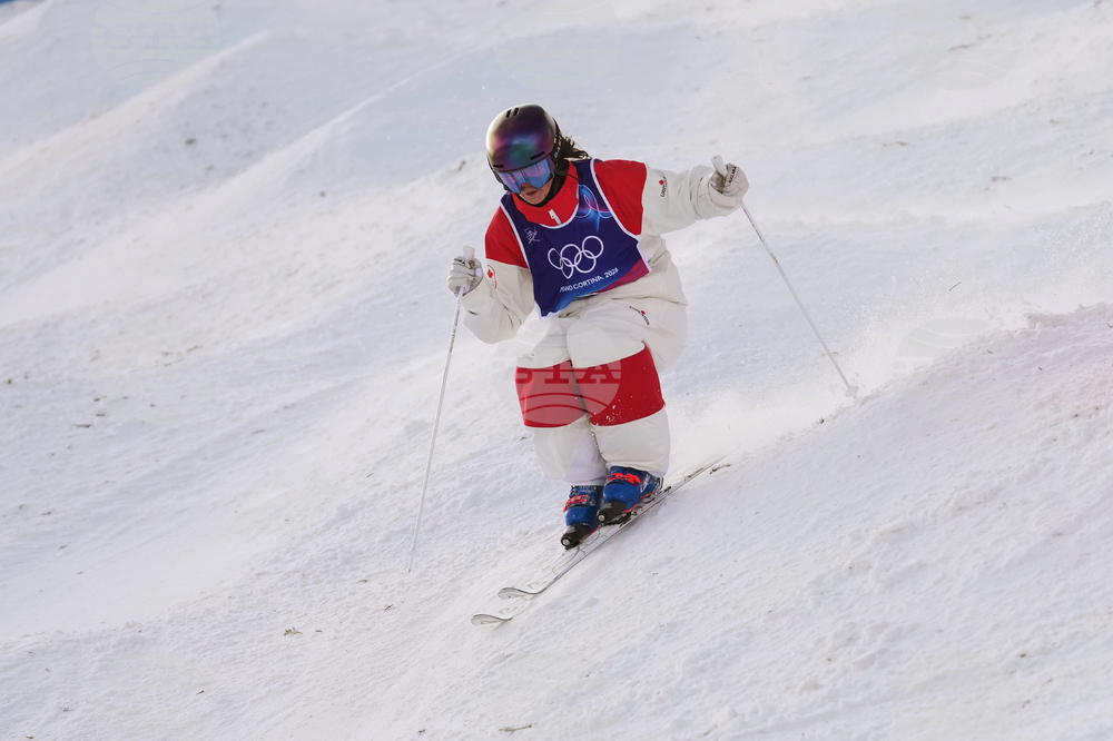 Milan Cortina Olympics Freestyle Skiing