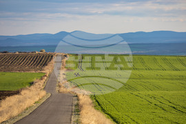 Бургас - ниви - земеделие