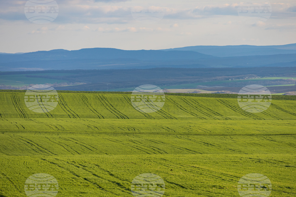 Бургас - ниви - земеделие