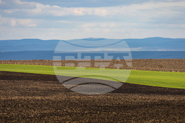 Бургас - ниви - земеделие