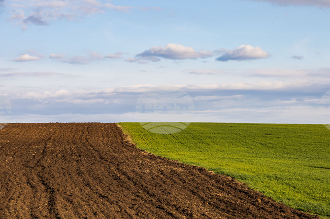 С повече от 7 процента се е увеличила средната цена на декар при сделките с ниви във Варненска област през 2024 година