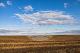 Бургас - ниви - земеделие