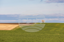 Бургас - ниви - земеделие