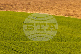 Бургас - ниви - земеделие