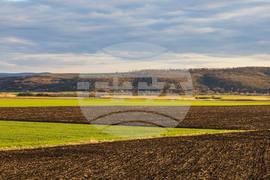 Бургас - ниви - земеделие