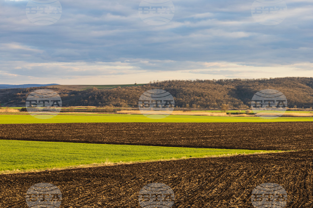 Средната цена на сделките с ниви е достигнала 1697 лева за един декар през 2024 г., което е ръст от 5,9 на сто на годишна база, сочат данни на НСИ