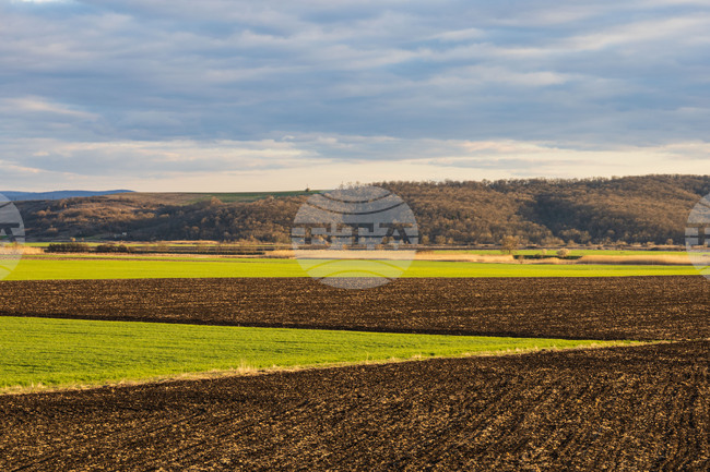 Средната цена на сделките с ниви е достигнала 1697 лева за един декар през 2024 г., което е ръст от 5,9 на сто на годишна база, сочат данни на НСИ