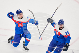 Milan Cortina Olympics Ice Hockey