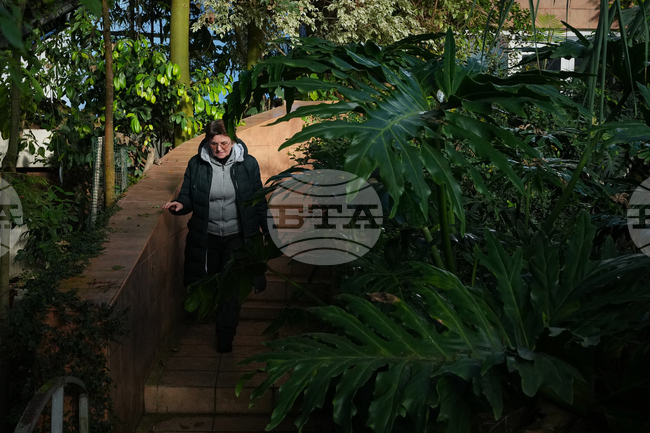 Russia Ukraine War Weather