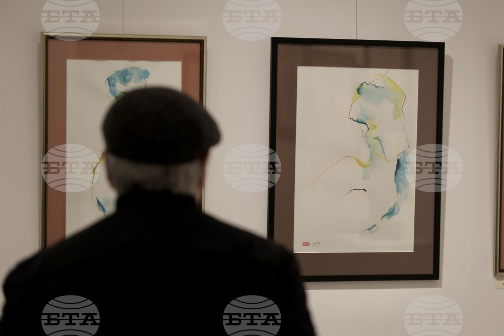 Арт галерия „Vejdi“ - проф. Христо Харалампиев - изложба