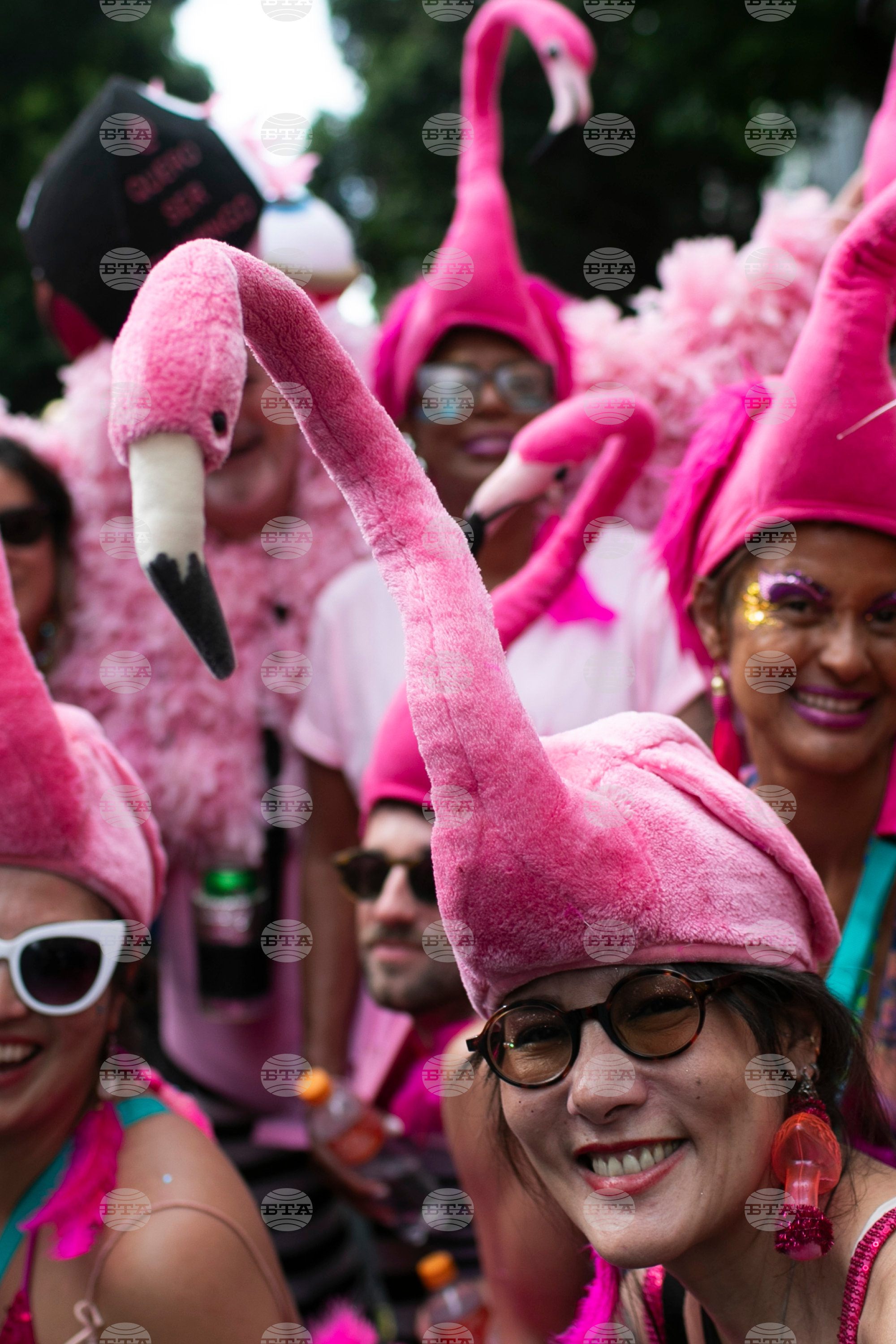 Top Verticals Photos Photo Gallery