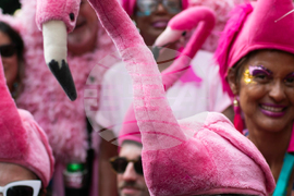 Top Verticals Photos Photo Gallery