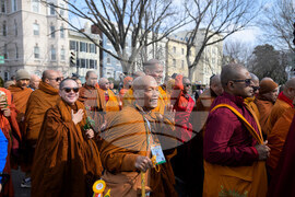 Buddhist Monks Peace Walk Washington