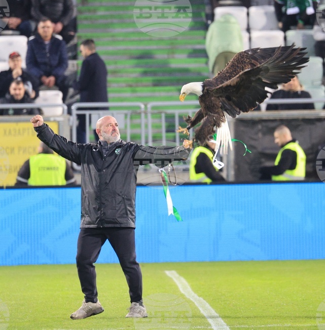 Футбол - „Купа България“ - Лудогорец - Левски