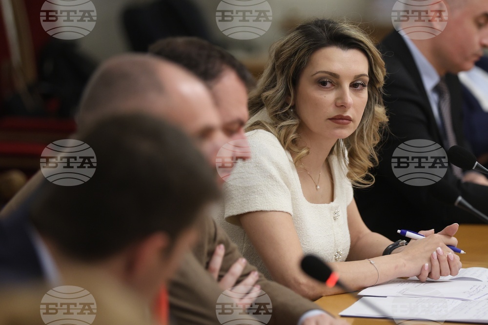 Народно събрание - Комисия по енергетика - заседание - Павела Митова 