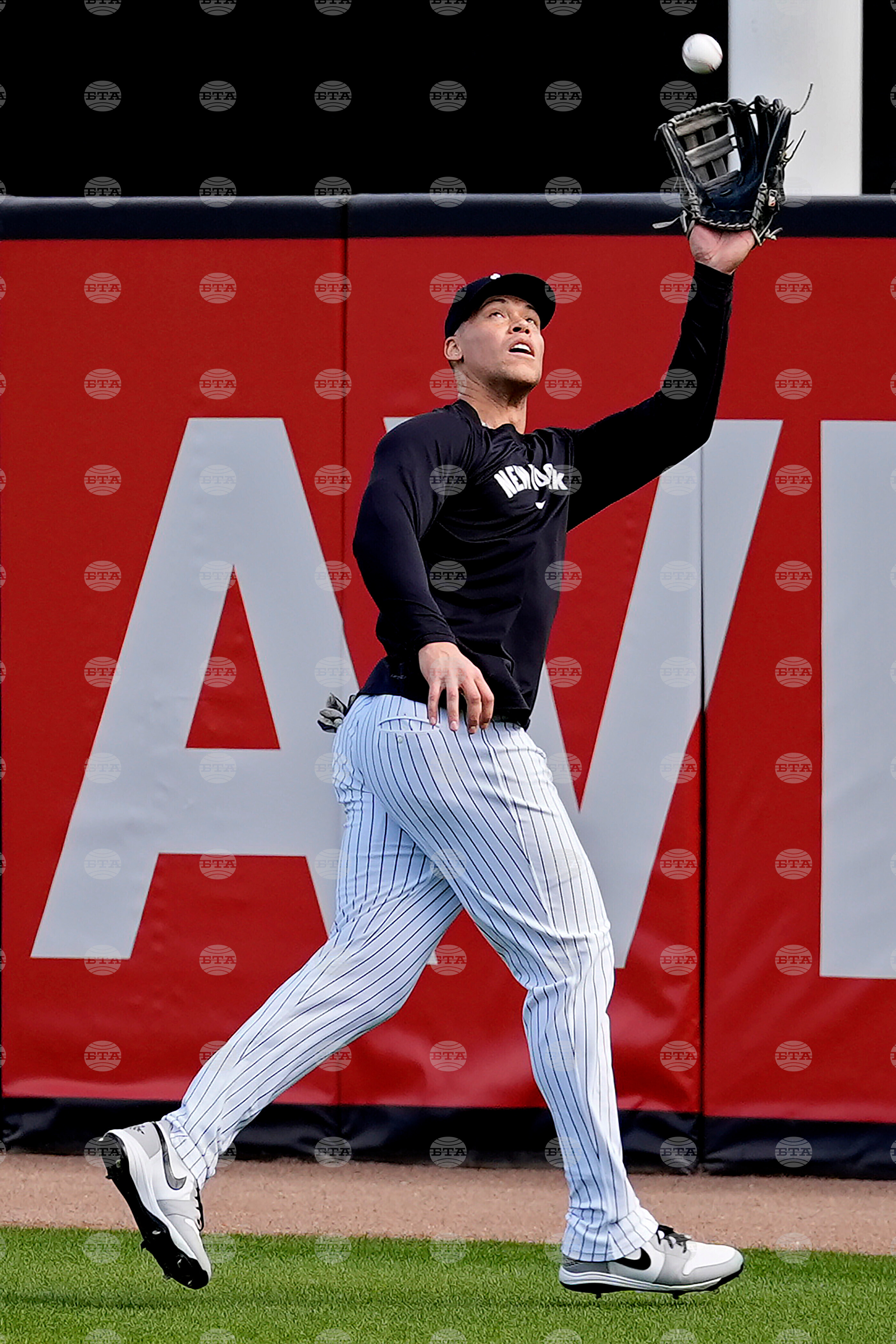 Yankees Spring Baseball