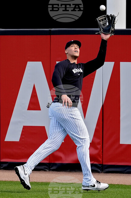 Yankees Spring Baseball