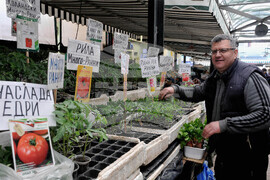 Бургас - пазар - зеленчуци